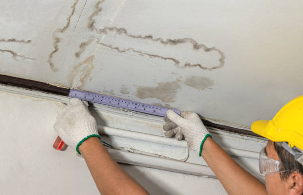 Reliable Flood Cleanup contractor in Arapahoe, WY by Water Damage Irwin